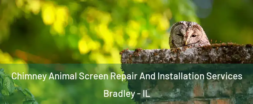 Chimney Animal Screen Repair And Installation Services Bradley - IL