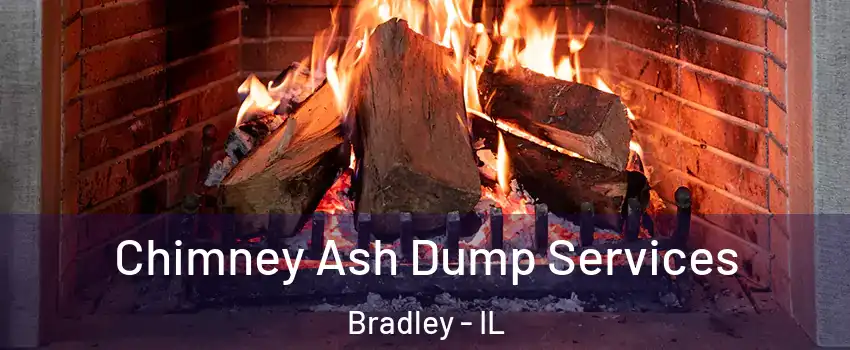  Chimney Ash Dump Services Bradley - IL
