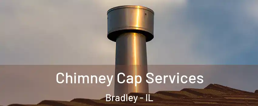 Chimney Cap Services Bradley - IL