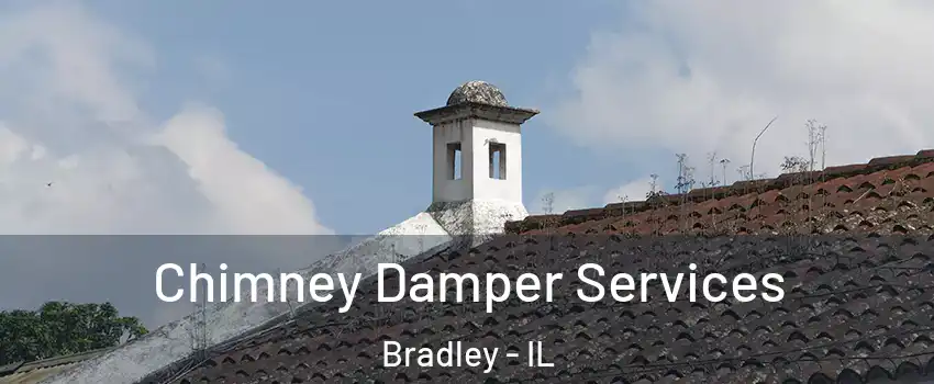 Chimney Damper Services Bradley - IL