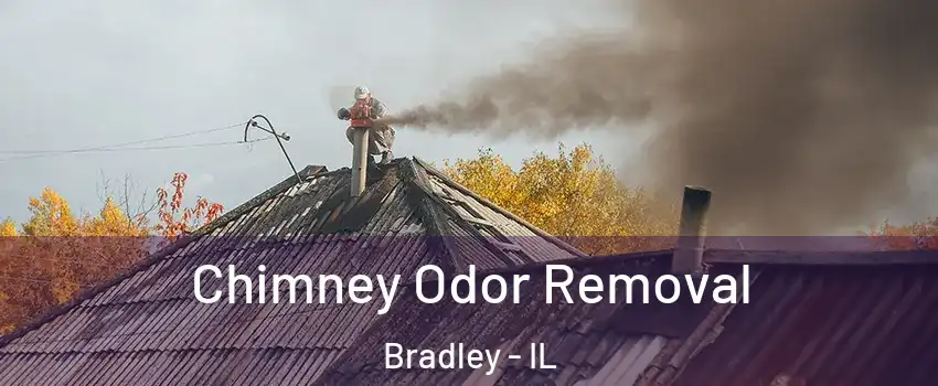  Chimney Odor Removal Bradley - IL