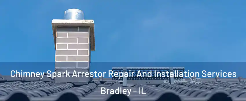  Chimney Spark Arrestor Repair And Installation Services Bradley - IL
