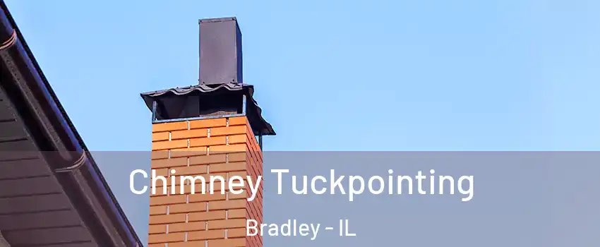 Chimney Tuckpointing Bradley - IL