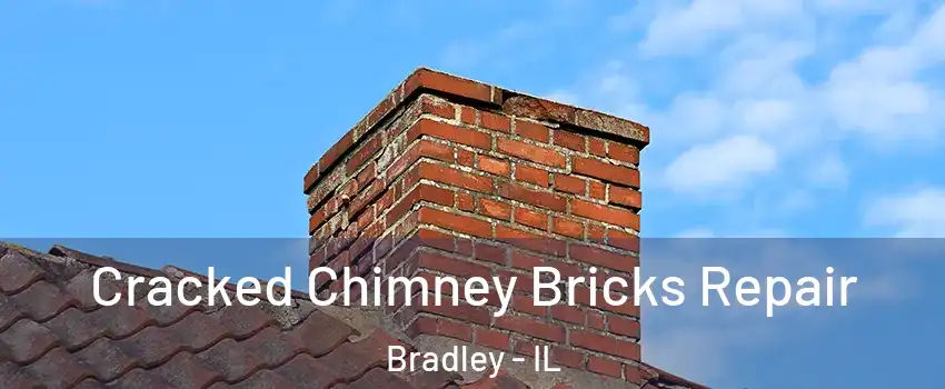  Cracked Chimney Bricks Repair Bradley - IL