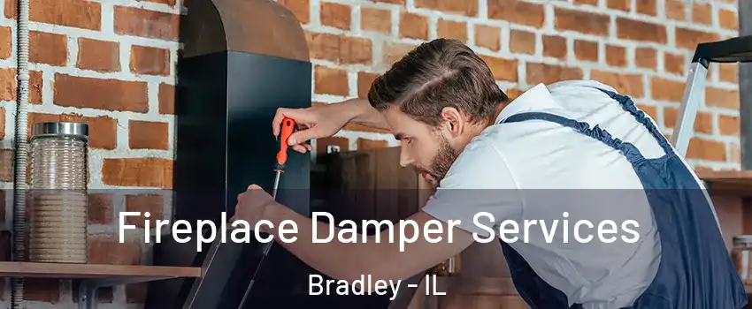  Fireplace Damper Services Bradley - IL