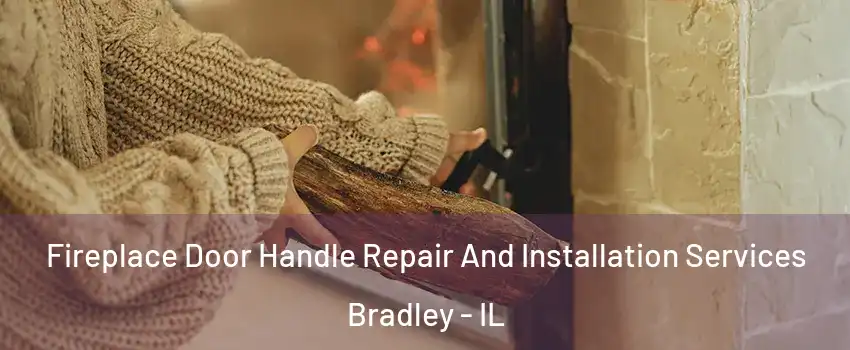 Fireplace Door Handle Repair And Installation Services Bradley - IL