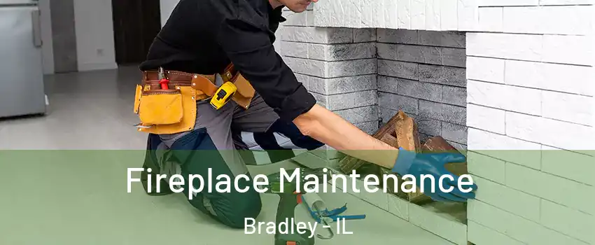  Fireplace Maintenance Bradley - IL