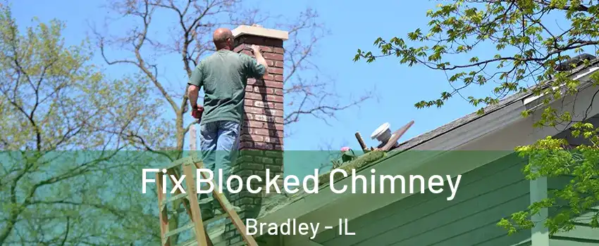Fix Blocked Chimney Bradley - IL
