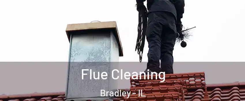  Flue Cleaning Bradley - IL