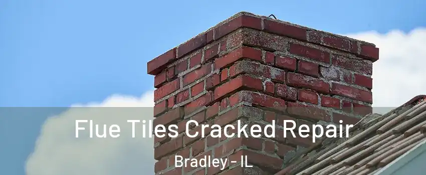  Flue Tiles Cracked Repair Bradley - IL