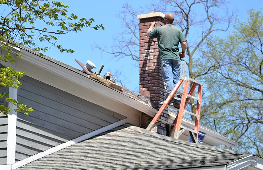Chimney & Fireplace Inspections Services in Bradley, IL