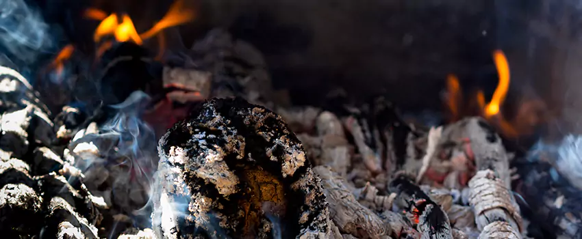 Creosote Removal Experts in Bradley, IL