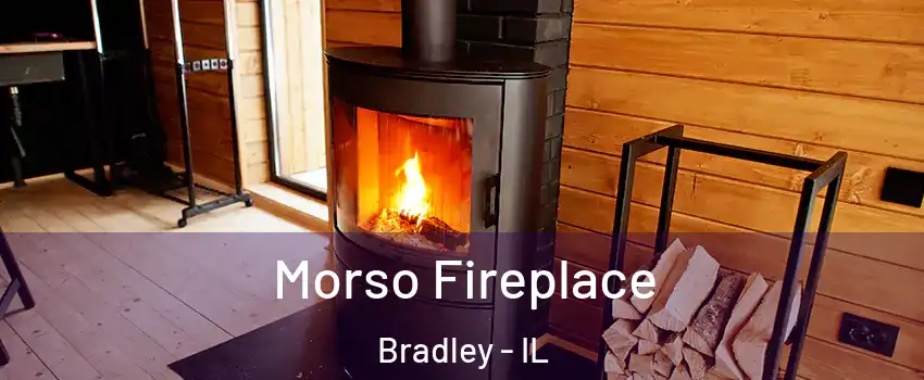  Morso Fireplace Bradley - IL