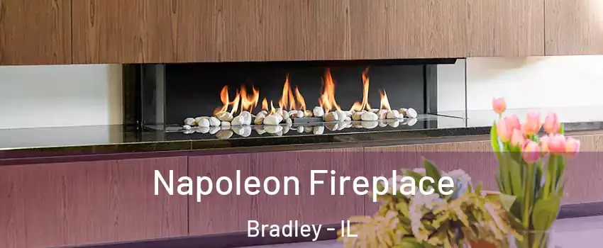  Napoleon Fireplace Bradley - IL