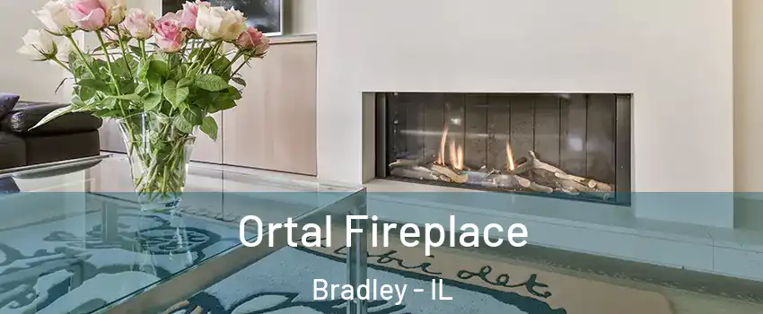 Ortal Fireplace Bradley - IL